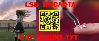 стаф Берёзовский