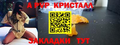 стаф Берёзовский
